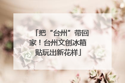 把“台州”带回家！台州文创冰箱贴玩出新花样