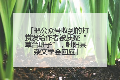 把公众号收到的打赏发给作者被质疑“草台班子”，射阳县杂文学会回应