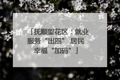 抚顺望花区：就业服务“出圈” 居民幸福“加码”