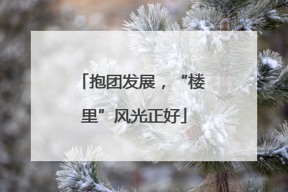 抱团发展，“楼里”风光正好