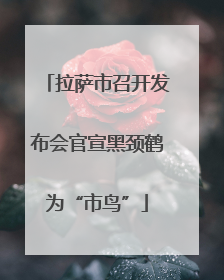 拉萨市召开发布会官宣黑颈鹤为“市鸟”