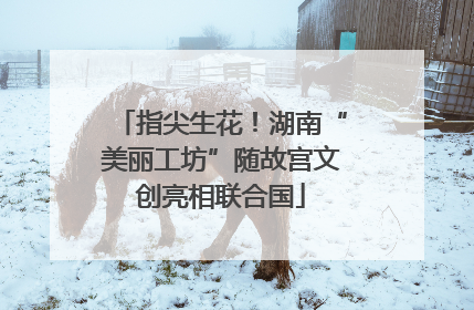 指尖生花！湖南“美丽工坊”随故宫文创亮相联合国