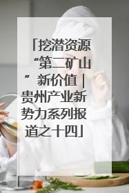 挖潜资源“第二矿山”新价值｜贵州产业新势力系列报道之十四