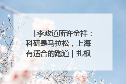 李政道所许金祥：科研是马拉松，上海有适合的跑道｜扎根上海，从0到1