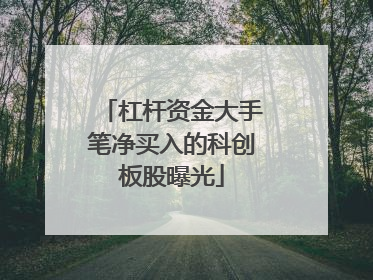 杠杆资金大手笔净买入的科创板股曝光