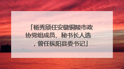 杨秀颀任安徽铜陵市政协党组成员、秘书长人选，曾任枞阳县委书记