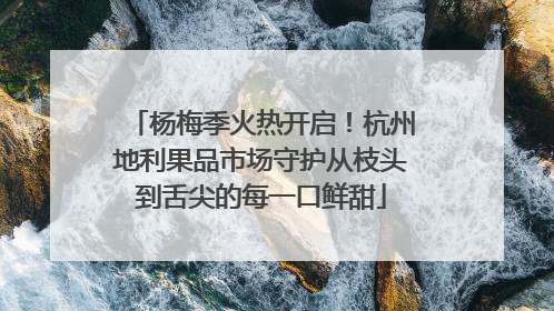 杨梅季火热开启！杭州地利果品市场守护从枝头到舌尖的每一口鲜甜