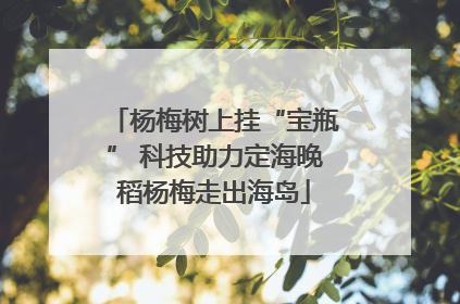 杨梅树上挂“宝瓶” 科技助力定海晚稻杨梅走出海岛