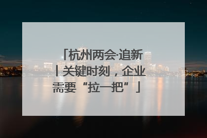 杭州两会·追新丨关键时刻，企业需要“拉一把”