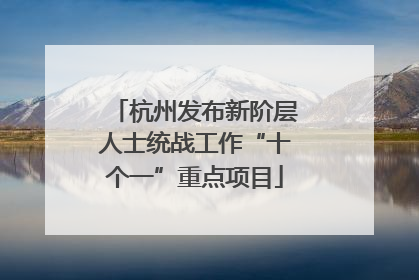 杭州发布新阶层人士统战工作“十个一”重点项目
