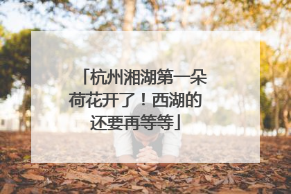杭州湘湖第一朵荷花开了！西湖的还要再等等