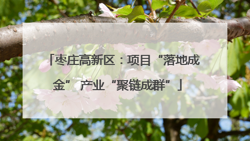 枣庄高新区：项目“落地成金” 产业“聚链成群”