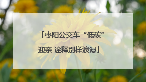 枣阳公交车“低碳”迎亲 诠释别样浪漫