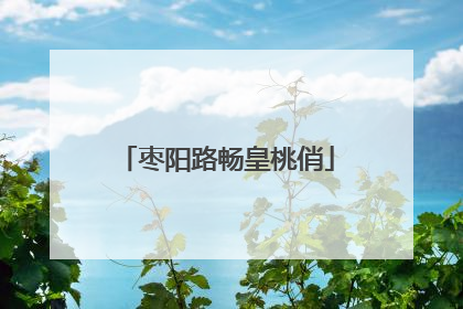 枣阳路畅皇桃俏