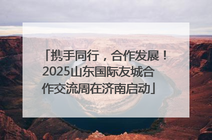 携手同行，合作发展！2025山东国际友城合作交流周在济南启动