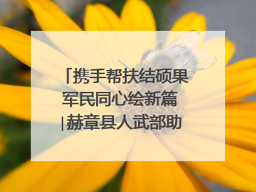 携手帮扶结硕果 军民同心绘新篇∣赫章县人武部助力大凉山村阔步乡村振兴路