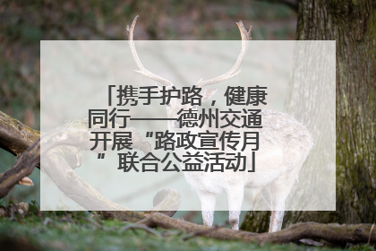 携手护路，健康同行——德州交通开展“路政宣传月”联合公益活动