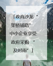 政商沙龙“架桥铺路” 中小企业享受政府采购 “及时雨”