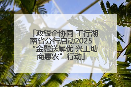 政银企协同 工行湖南省分行启动2025“金融送解优 兴工助商惠农”行动