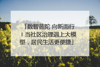 数智普陀 向新而行〡当社区治理遇上大模型，居民生活更便捷