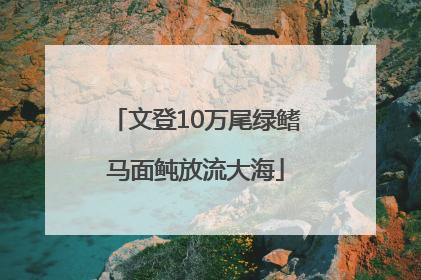 文登10万尾绿鳍马面鲀放流大海