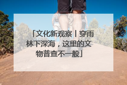 文化新观察丨穿雨林下深海，这里的文物普查不一般
