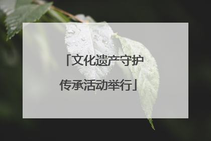 文化遗产守护传承活动举行