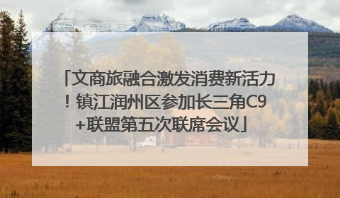 文商旅融合激发消费新活力！镇江润州区参加长三角C9+联盟第五次联席会议