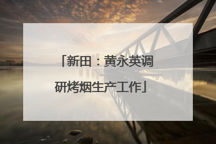 新田：黄永英调研烤烟生产工作