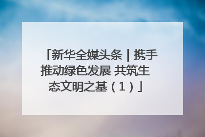 新华全媒头条｜携手推动绿色发展 共筑生态文明之基（1）