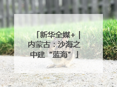 新华全媒+｜内蒙古：沙海之中建“蓝海”