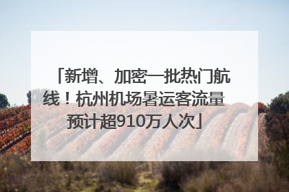 新增、加密一批热门航线！杭州机场暑运客流量预计超910万人次