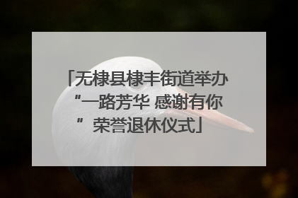 无棣县棣丰街道举办“一路芳华 感谢有你”荣誉退休仪式