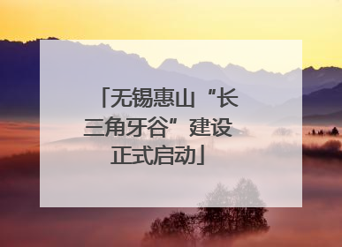 无锡惠山“长三角牙谷”建设正式启动