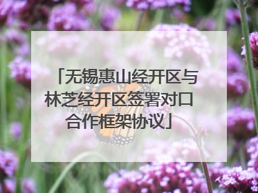 无锡惠山经开区与林芝经开区签署对口合作框架协议