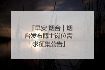 早安 烟台｜烟台发布博士岗位需求征集公告