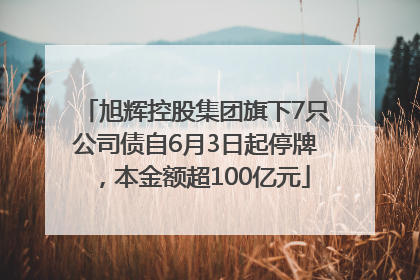 旭辉控股集团旗下7只公司债自6月3日起停牌，本金额超100亿元