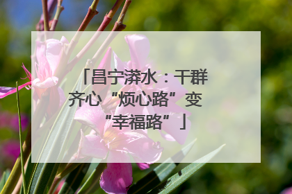 昌宁漭水：干群齐心“烦心路”变“幸福路”