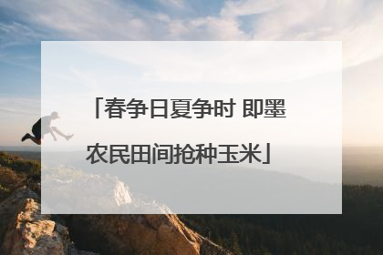 春争日夏争时 即墨农民田间抢种玉米