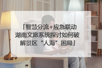 智慧分流+应急联动 湖南文旅系统探讨如何破解景区“人海”困局