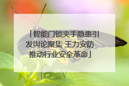 智能门锁夹手隐患引发舆论聚集 王力安防推动行业安全革命