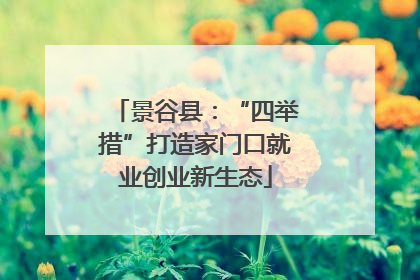 景谷县：“四举措”打造家门口就业创业新生态