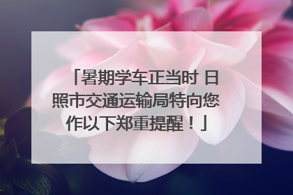 暑期学车正当时 日照市交通运输局特向您作以下郑重提醒！