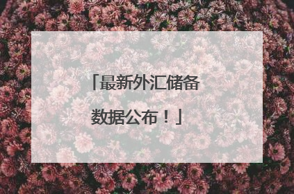 最新外汇储备数据公布！