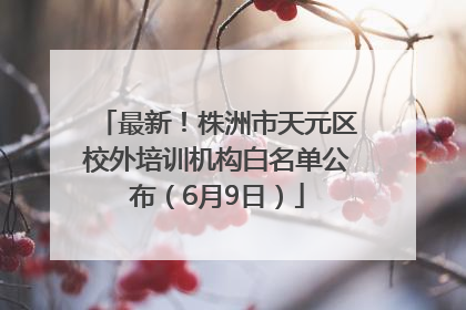 最新！株洲市天元区校外培训机构白名单公布（6月9日）