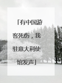 有中国游客死伤，我驻意大利使馆发声