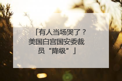 有人当场哭了？美国白宫国安委裁员“降级”