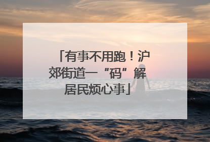 有事不用跑！沪郊街道一“码”解居民烦心事
