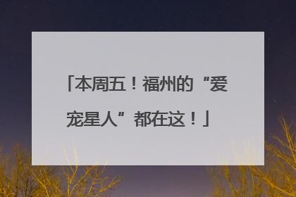 本周五！福州的“爱宠星人”都在这！