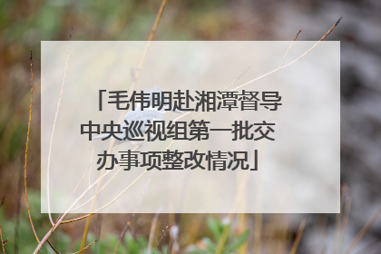 毛伟明赴湘潭督导中央巡视组第一批交办事项整改情况
